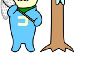 コータアニメ「虫とり」公開