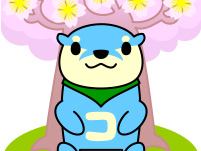 コータアニメ「お花見」公開！